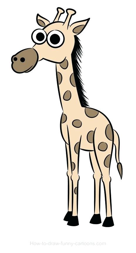 464x859 Drawing A Giraffe Cute Giraffe Drawing Easy