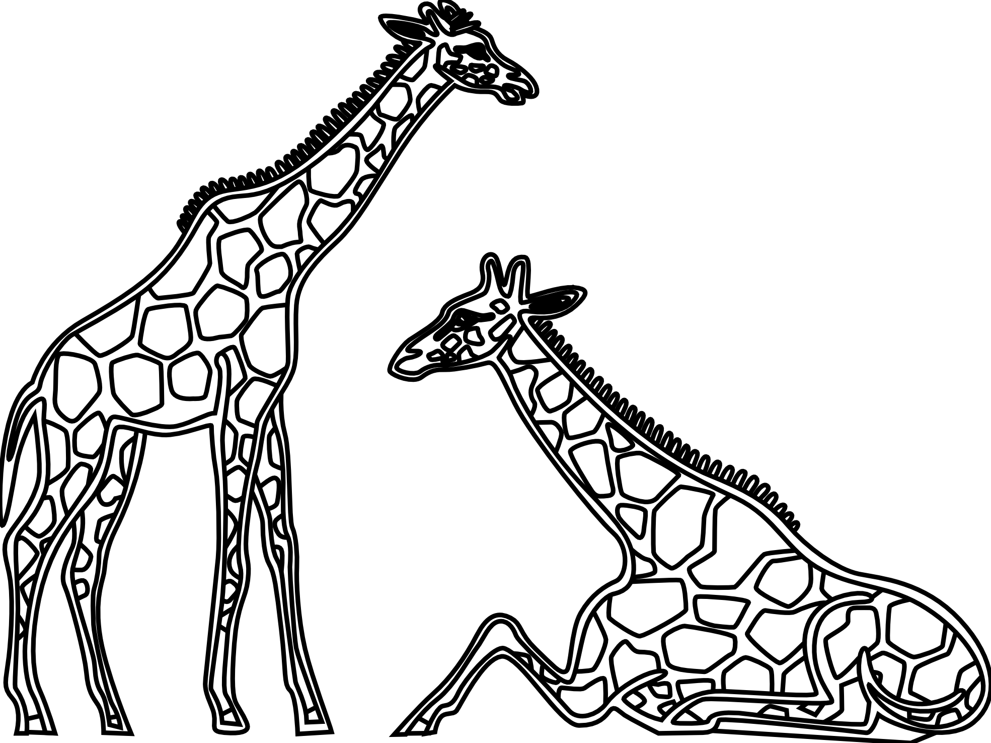 1969x1475 Giraffe Drawing Outline For Free Download