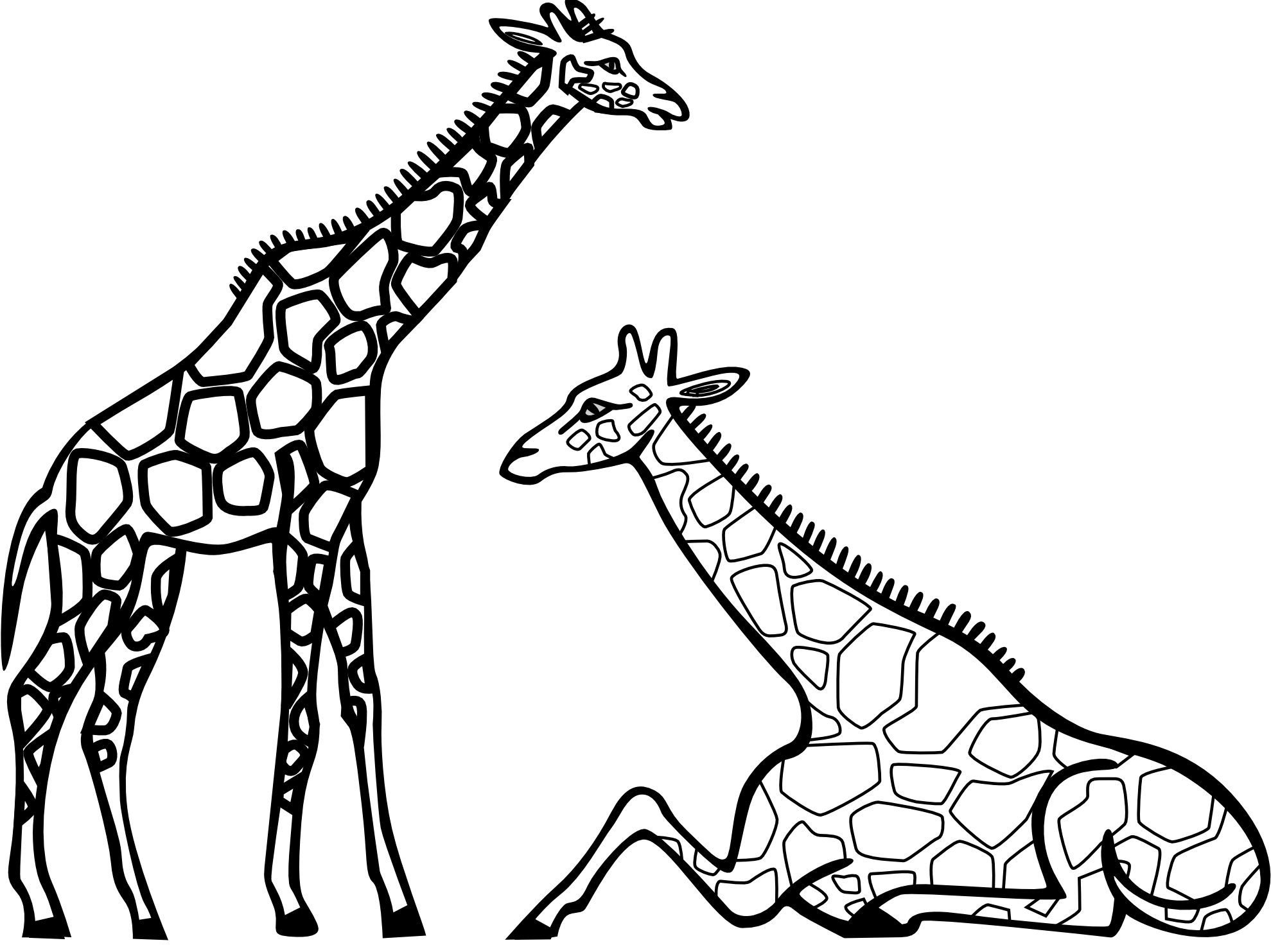 1979x1483 Outline Giraffe Cliparts