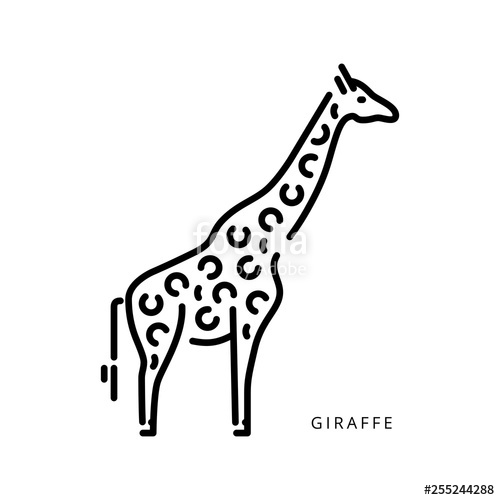 500x500 Outline Vector Logo Drawing Giraffe African Animal Stock Image