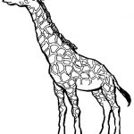 150x150 simple giraffe outline you to paint a picture giraffe this giraffe