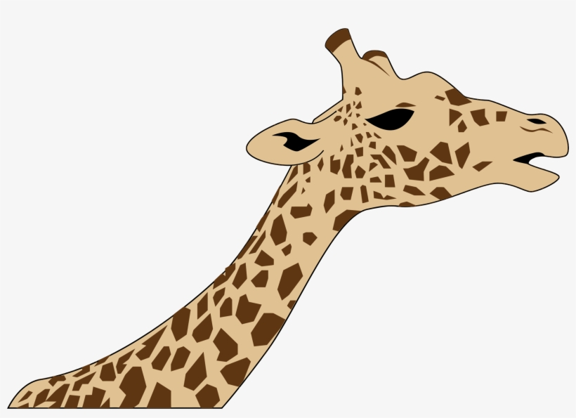 820x595 Drawing Head West African Giraffe Download