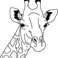 200x200 Giraffe Face Coloring Pages Murderthestout