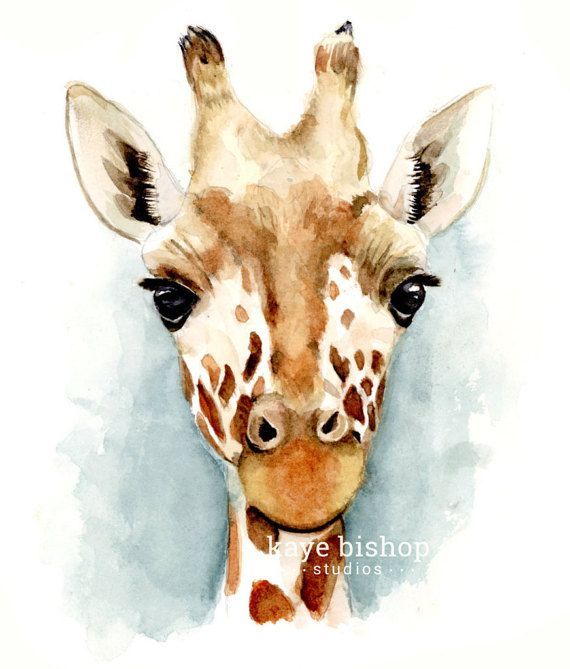 570x669 Giraffe Watercolor Painting, Jungle Animal Art, Animal Wall Art