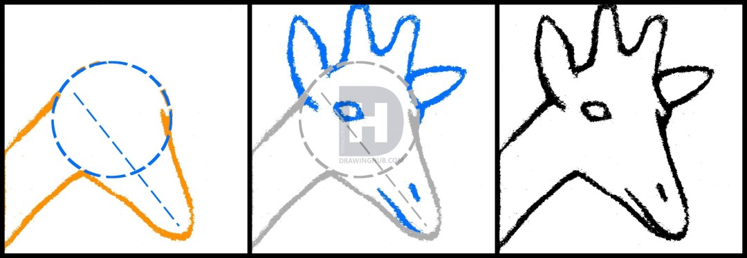 1080x373 How To Draw A Giraffe Head, Step