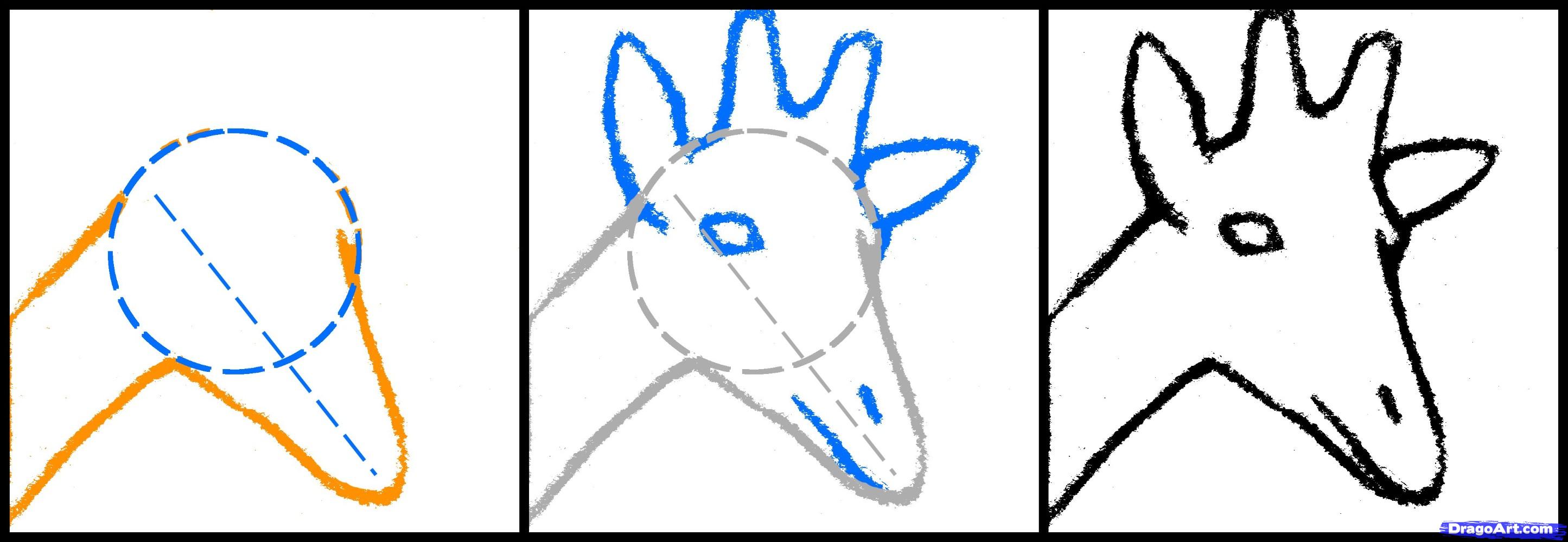 2890x1000 How To Draw A Giraffe Head, Step
