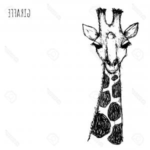 300x300 Photostock Vector Giraffe Face Vector Illustration Line Drawing