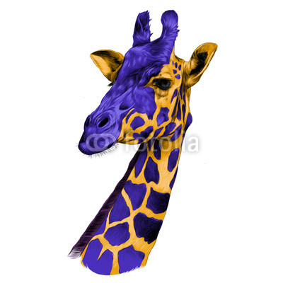 400x400 The Head Of A Giraffe Sketch Vector Graphics Color Drawing