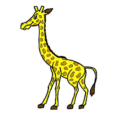 505x470 Giraffe, Drawing, Animal, Transparent Png Image Clipart Free