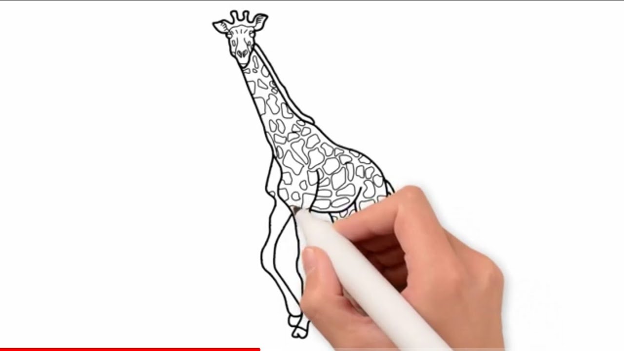 1280x720 giraffe colour giraffe coloring pages giraffe drawing drawing