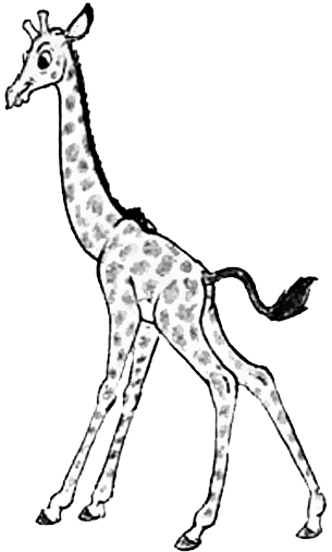305x506 How To Draw Cartoon Giraffes Step