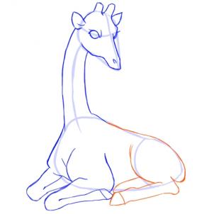 302x302 How To Draw Giraffes, Step