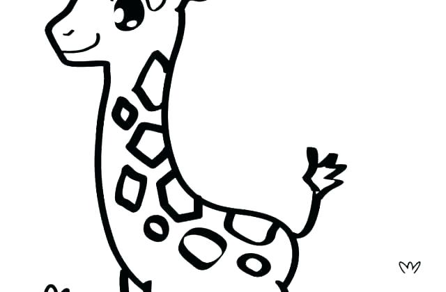 640x420 Color Giraffe Tongue Pencil Drawings Images About Complimentary