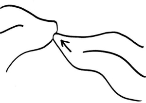 300x212 How To French Kiss