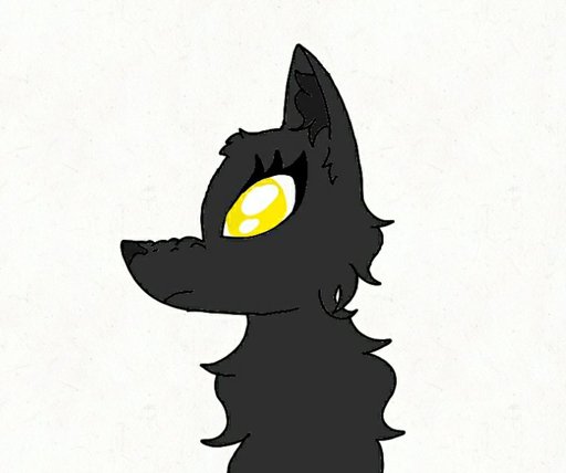 512x428 Latest Wolf Amino Amino