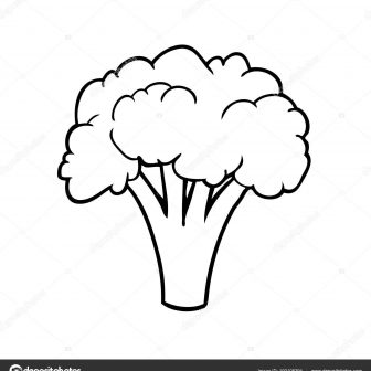 336x336 Broccoli Easy Girl Human Draw Pencil Tree Carmi Chaelinn