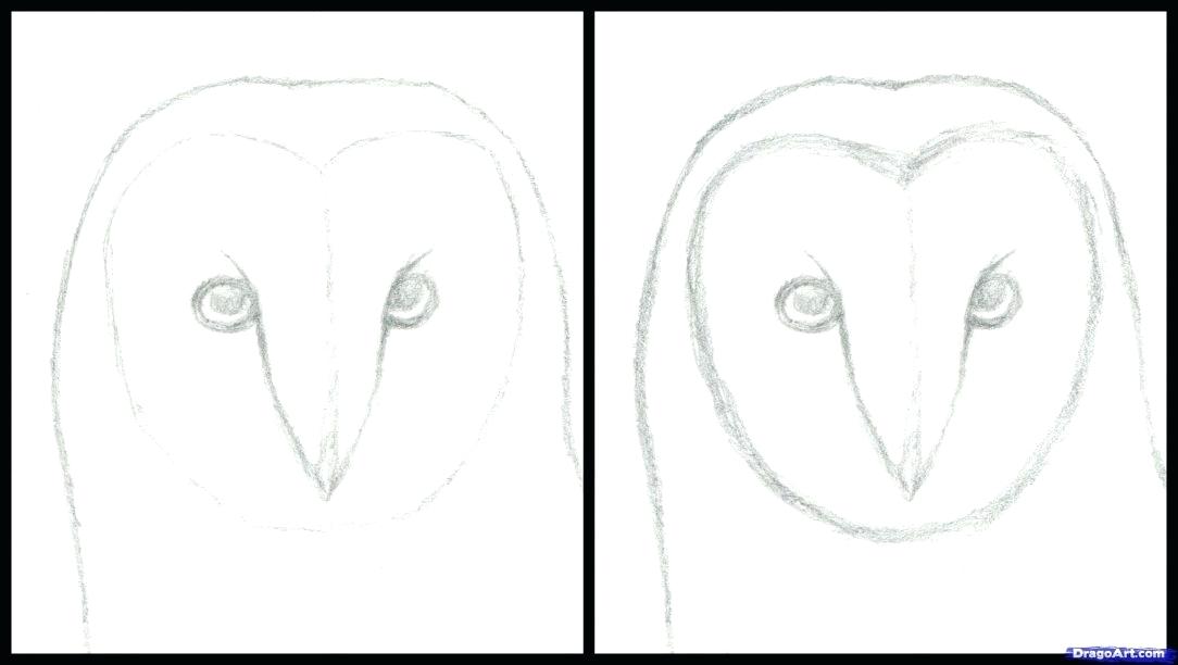 1084x612 pitbull drawing amigo pitbull tattoo drawings