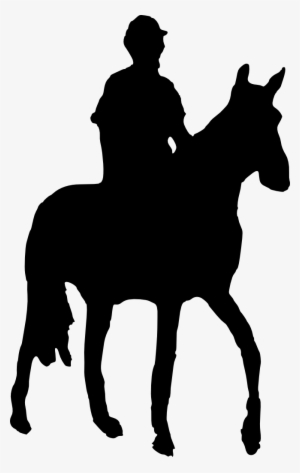 300x473 horse riding png, free hd horse riding transparent image