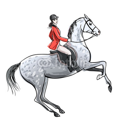 400x400 beautiful rider and dapple grey horse on white horseman girl