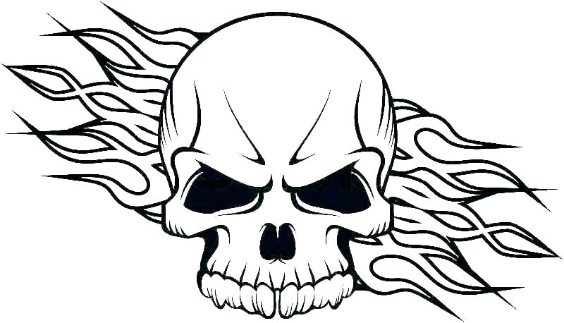 800x458 Sugar Skull Coloring Sugar Skull Coloring Book For Adults Dog