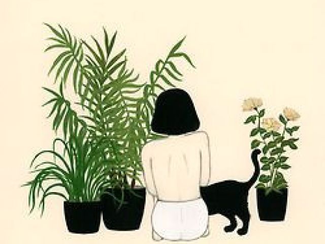 640x480 Drawing Of A Girl Planting Girl Plants And A Cat Art Illustration
