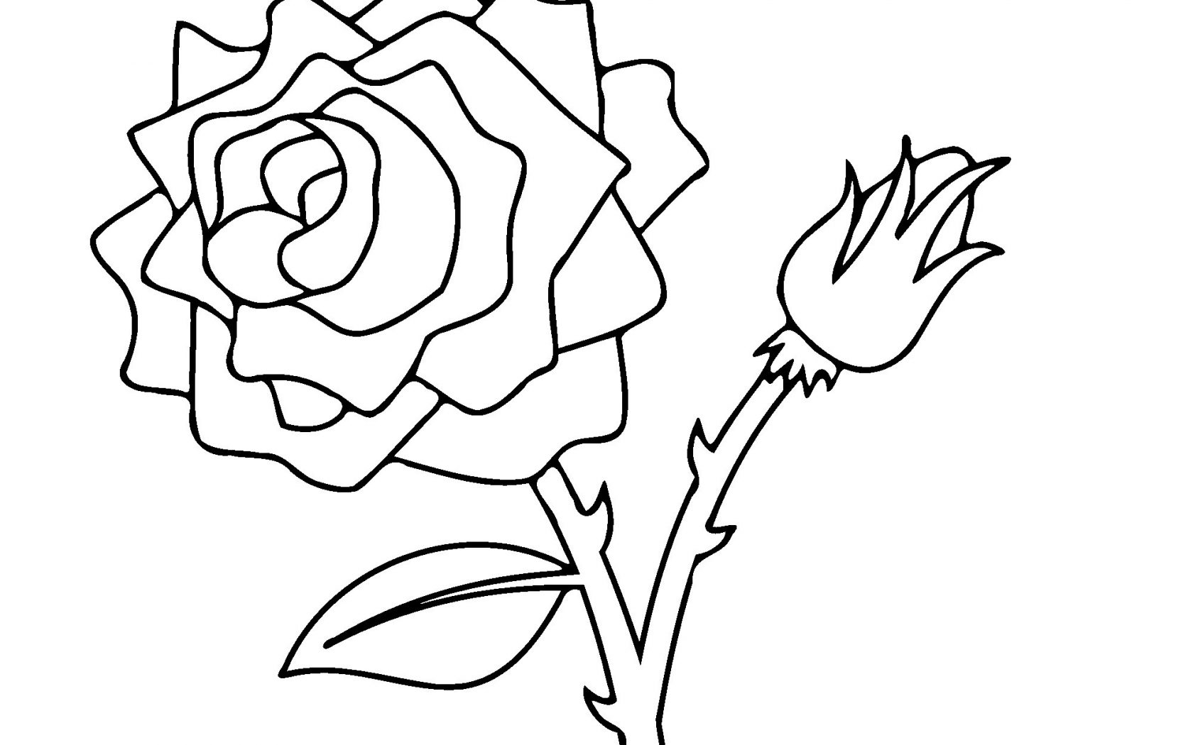 1680x1050 Rose Flower Coloring Pages Astonishing Free Printable Roses