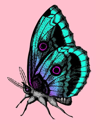 314x406 butterfly sketchbook butterfly bordered sketchbook for kids