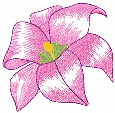 441x431 gladiolus free embroidery design