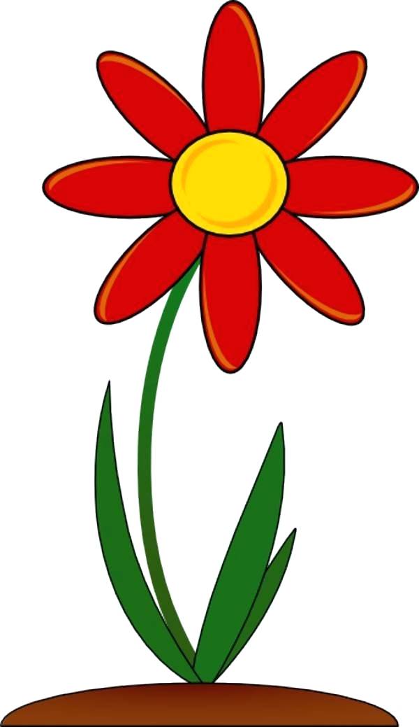 600x1039 Flower Drawing Clipart Flower Drawings For Kids Library Flower