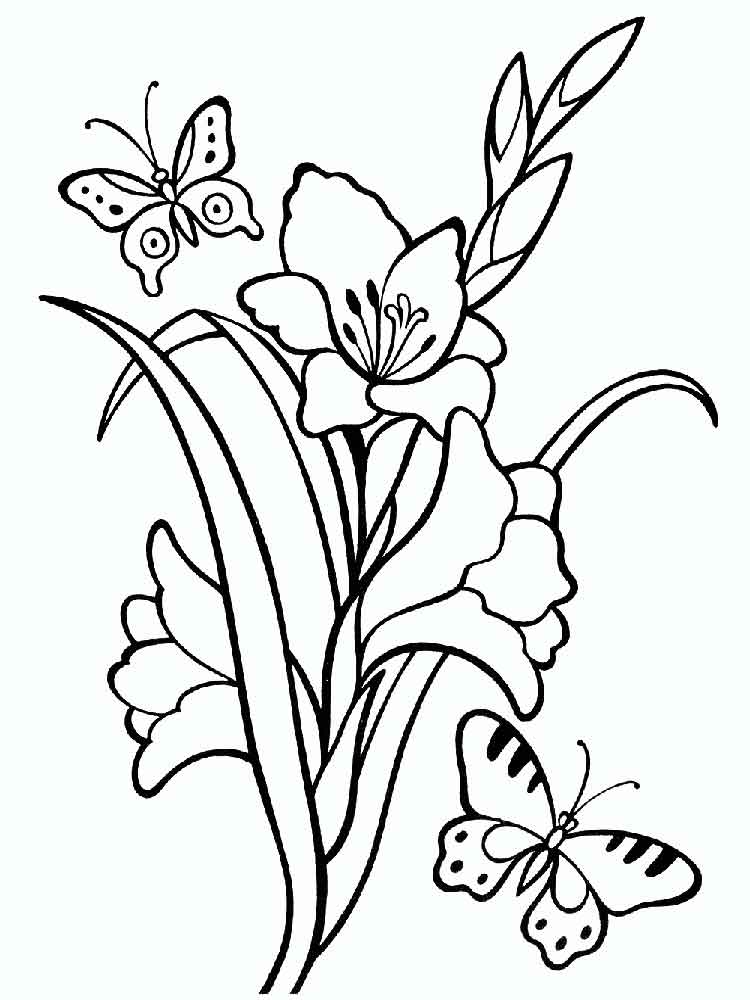 750x1000 free printable gladiolus coloring pages for kids