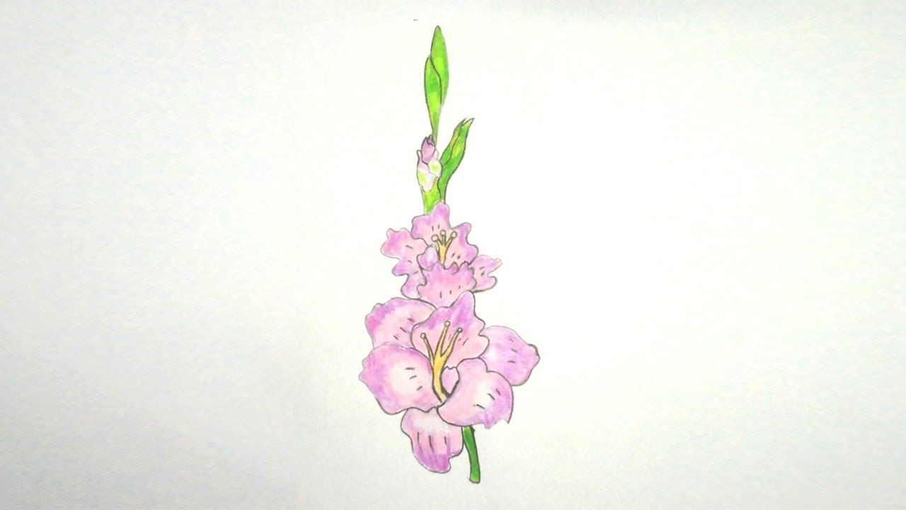 1280x720 how to draw gladiolus flower step