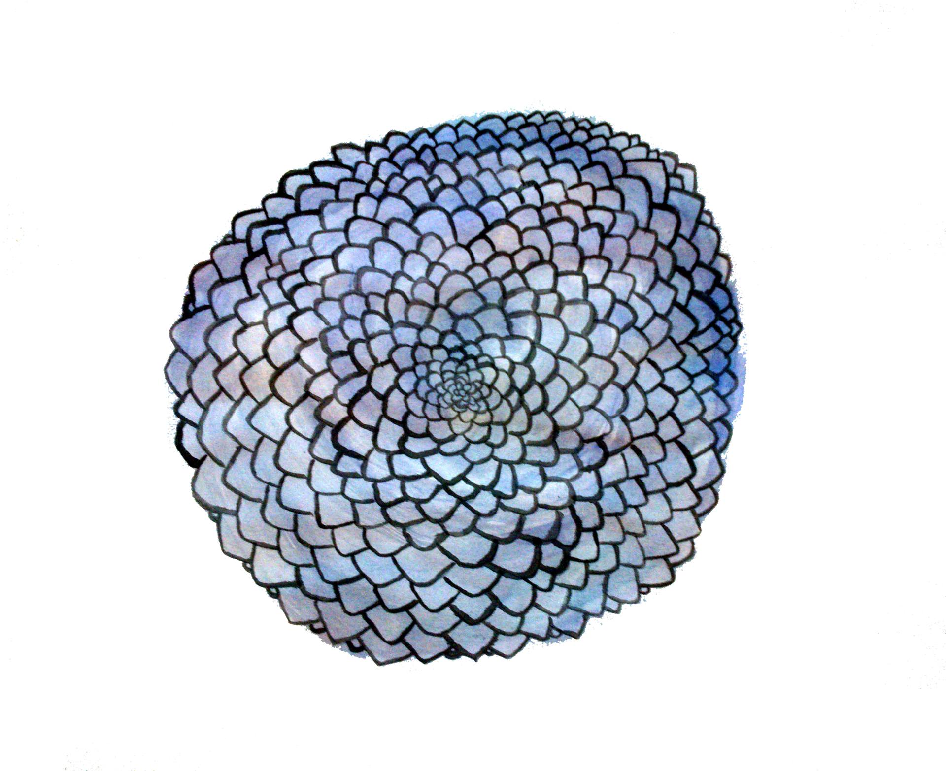 1920x1566 Mandala Drawing