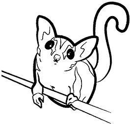 265x254 kytycritters glider successories