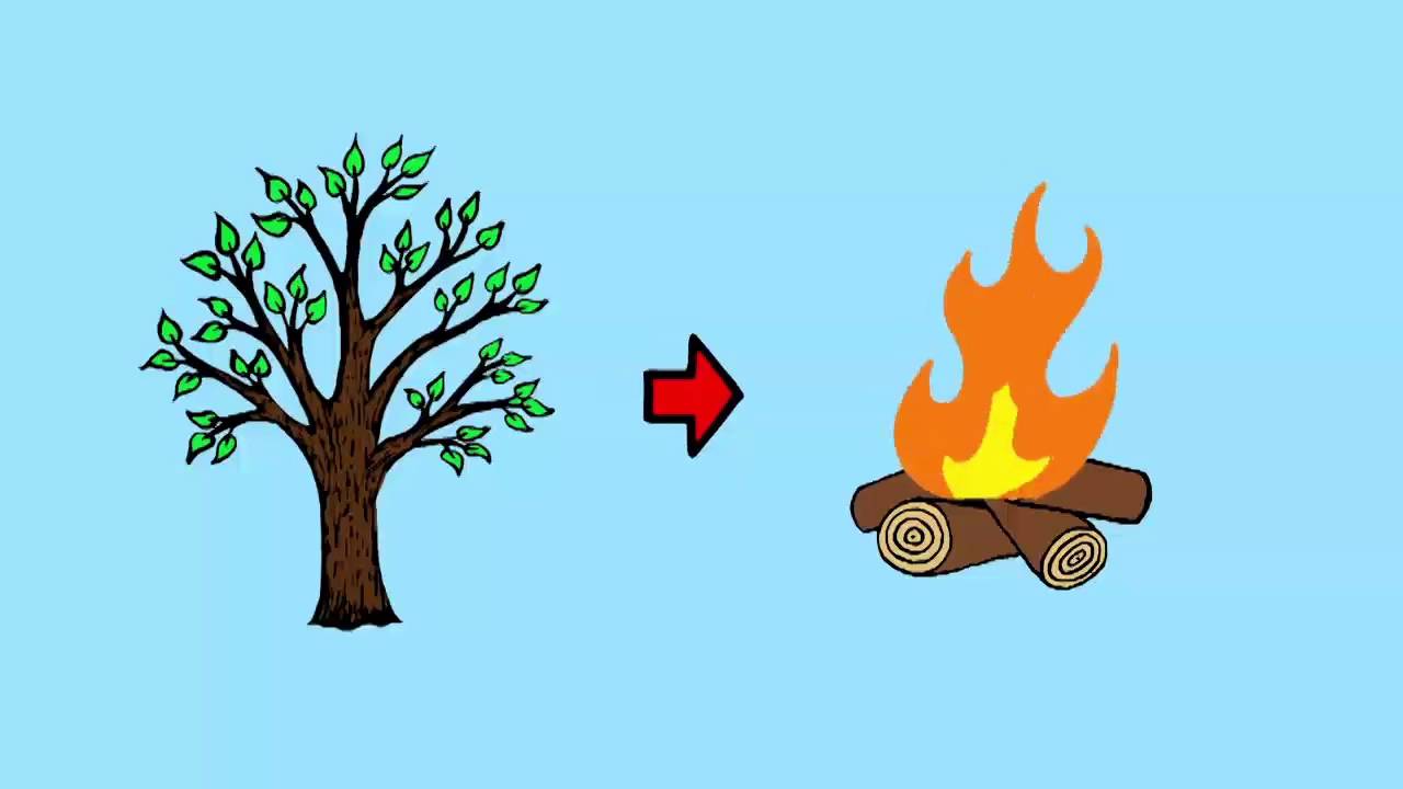 1280x720 How Does Global Warming Effect The Environment Chemistry For All