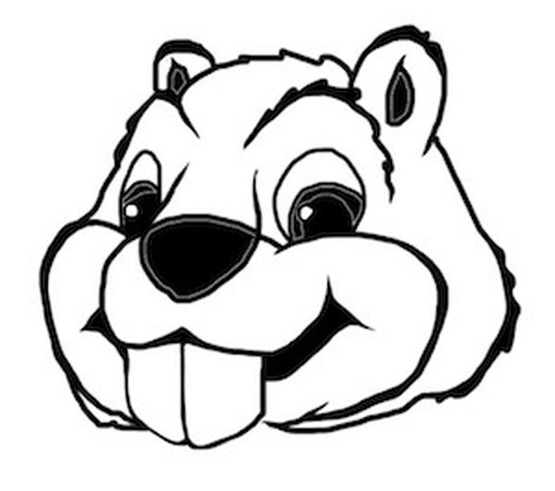 790x700 Amazing Acting Colleges You Should Know