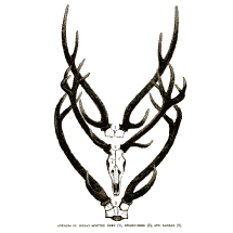 215x215 barcelona shopping night you stylish