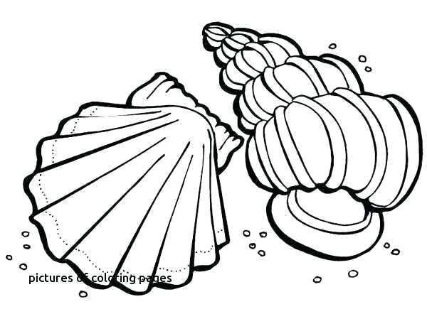 600x442 boxing gloves coloring pages boxing gloves drawing at free