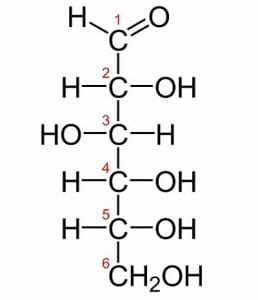258x300 Polysaccharide Definition, Examples, Function And Structure