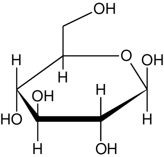 332x318 D Glucose Constituent Monomer Of Cellulose Download