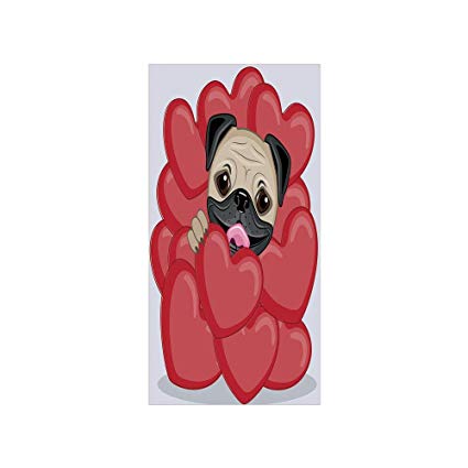 425x425 Decorative Film Privacy Window Film No Glue,pug