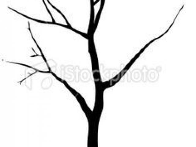 640x480 Drawn Dead Tree