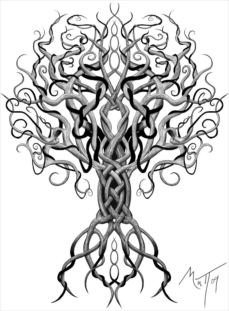 800x1083 Nice Drawing Tree For Free Download