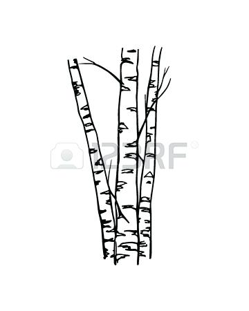 360x450 Drawing Tree Trunks Lulucafe Club