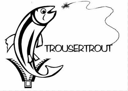 500x357 gnat, black parachute