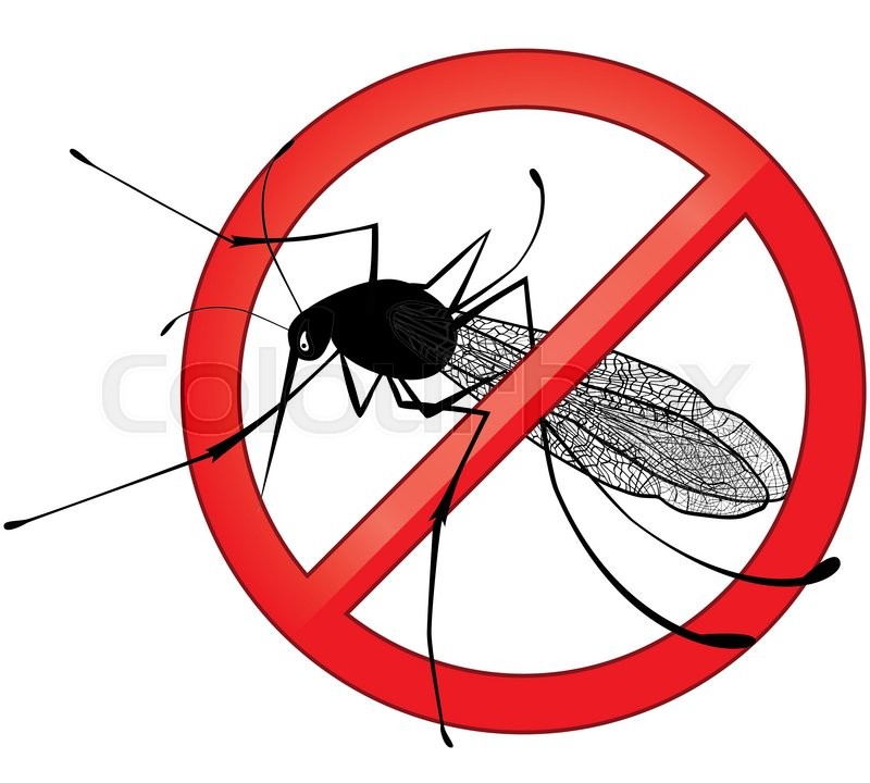 800x720 no mosquito gnat insect vector sign stock vector colourbox