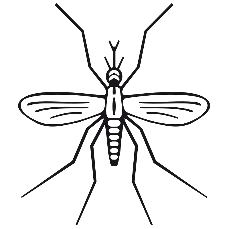 800x800 Collection Of Free Mosquito Drawing Colouring Download On Ui Ex