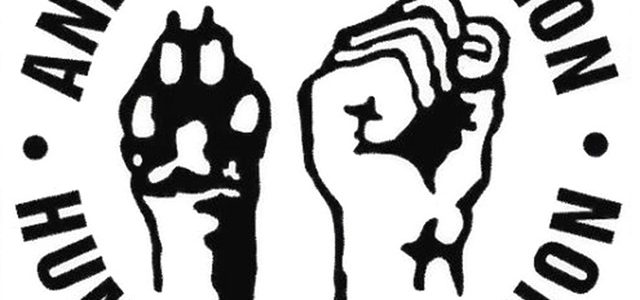 640x300 The Vegan Strategist