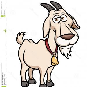 300x300 Vintage Label With Drawing Goat Vector Soidergi