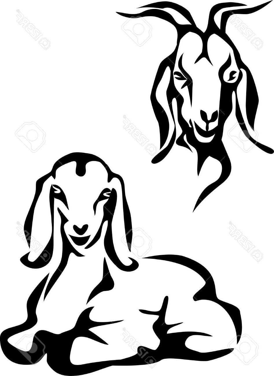 947x1300 free to download nubian goat drawing