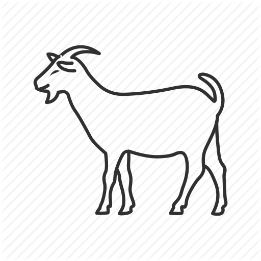 512x512 goatee drawing goat, picture